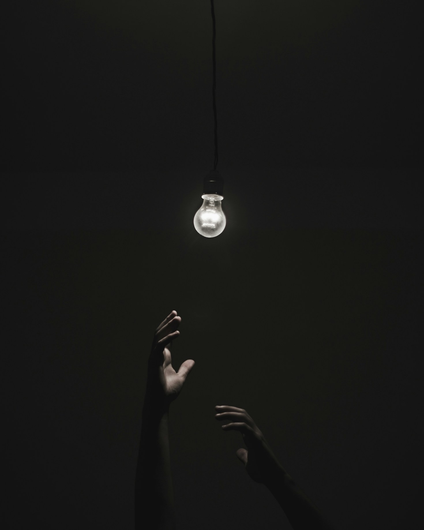Curiosity as a Catalyst for Multidisciplinary Innovation