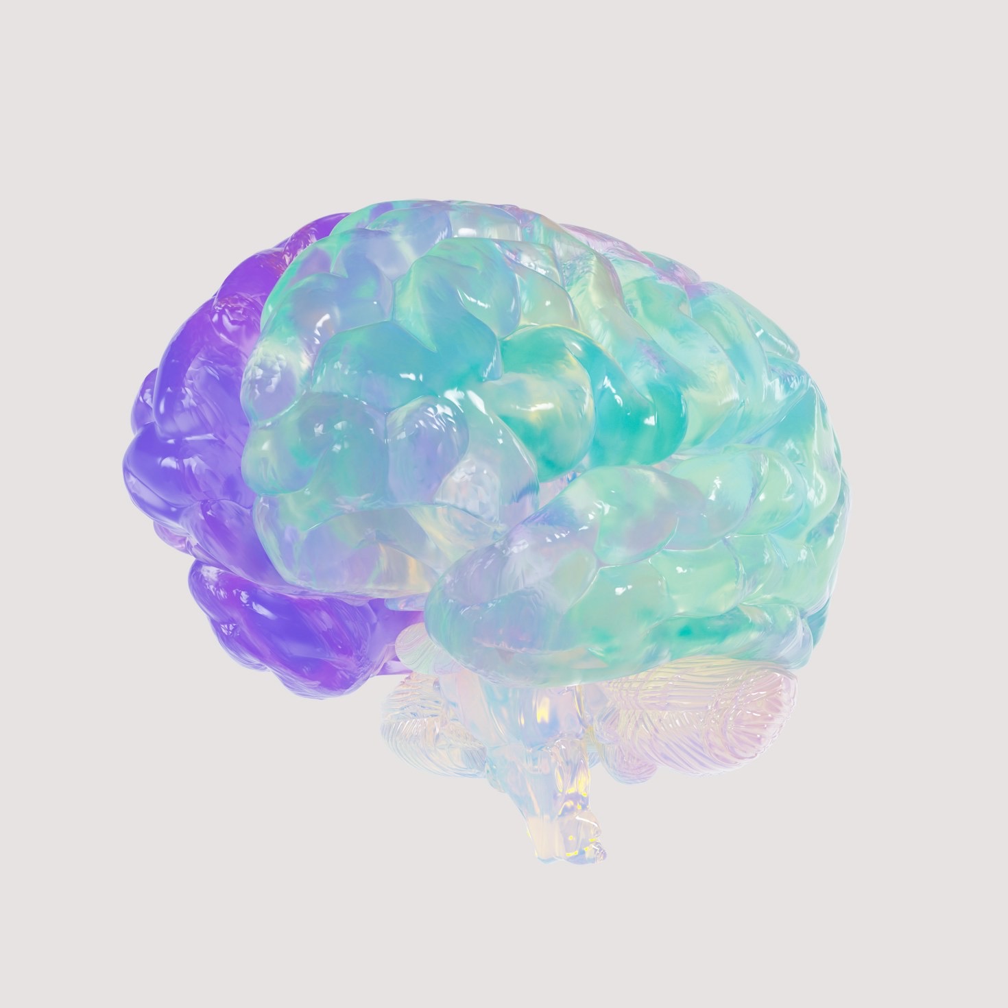Thought-Provoking Ideas for the Endlessly Curious